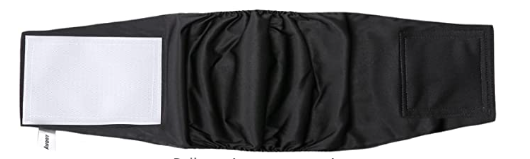 Belly Bands - X Large