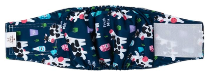 Belly Bands - Large