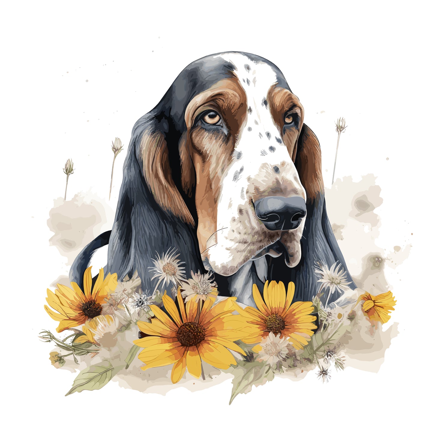 Bassett Hound Pictures