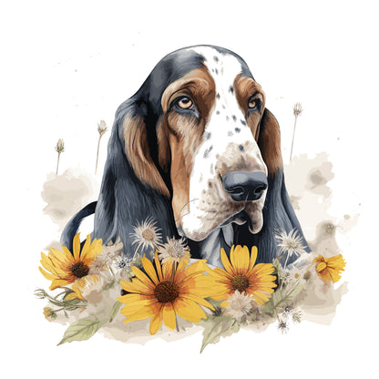 Bassett Hound Pictures