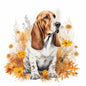Bassett Hound Pictures