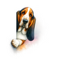 Bassett Hound Pictures