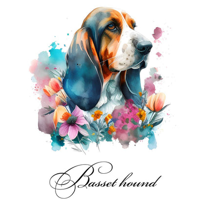 Bassett Hound Pictures