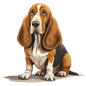 Bassett Hound Pictures
