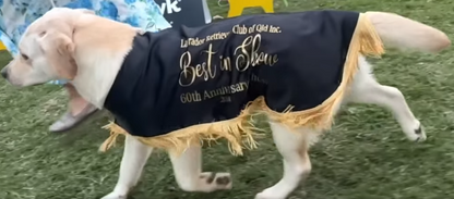 Show Coat - BEST IN SHOW PRIZE