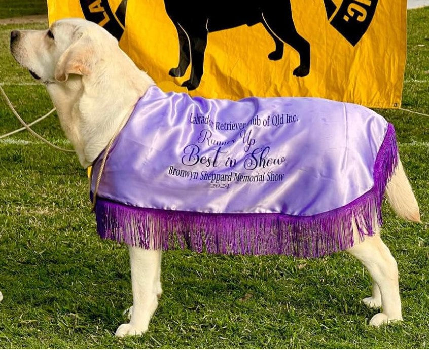 Show Coat - BEST IN SHOW PRIZE