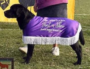 Show Coat - BEST IN SHOW PRIZE