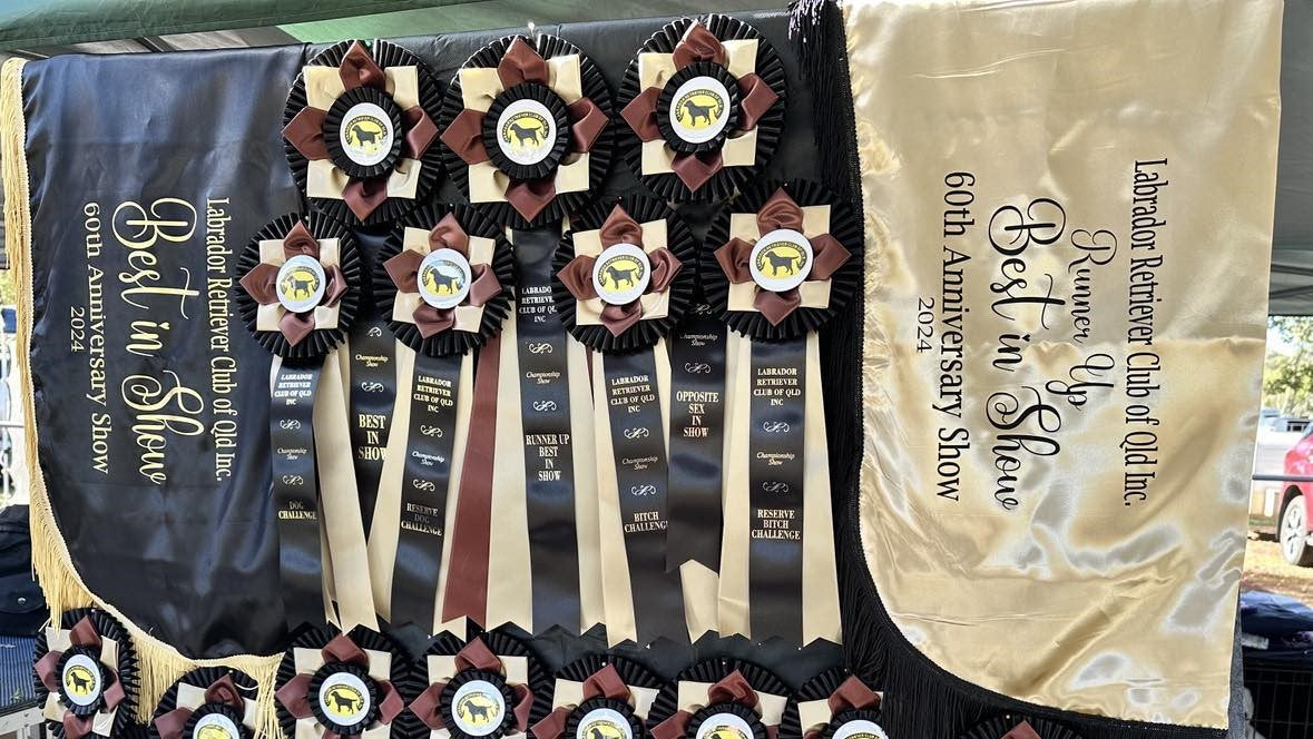 Show Coat - BEST IN SHOW PRIZE