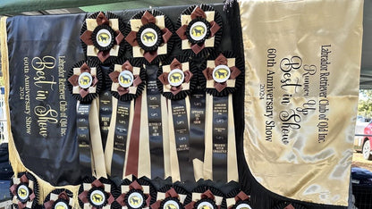 Show Coat - BEST IN SHOW PRIZE