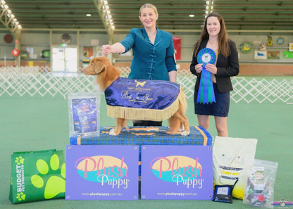 Show Coat - BEST IN SHOW PRIZE