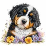Bernese Mountain Dog Puppy - Mouse Pad
