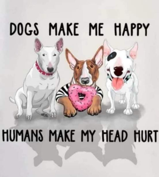 Bull Terrier 1