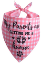 Bandanas - New Baby
