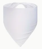 Custom Design - Bandana