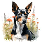 Basenji 1