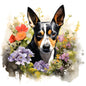 Basenji Pictures
