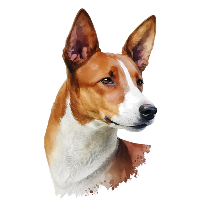 Basenji Pictures