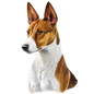 Basenji Pictures