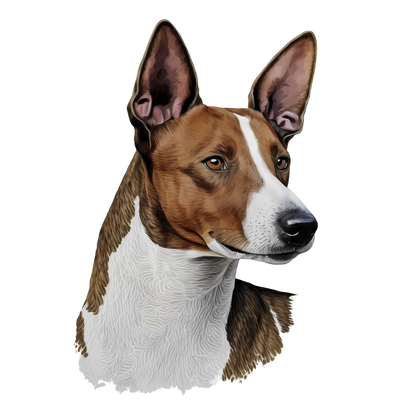 Basenji Pictures