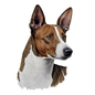 Basenji Pictures