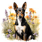 Basenji Pictures