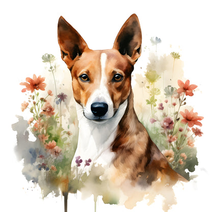 Basenji Pictures