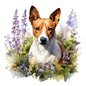 Basenji Pictures