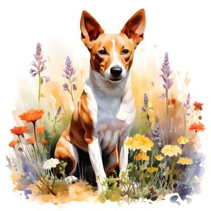 Basenji Pictures