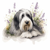 Bearded Collie - Mouse Pad