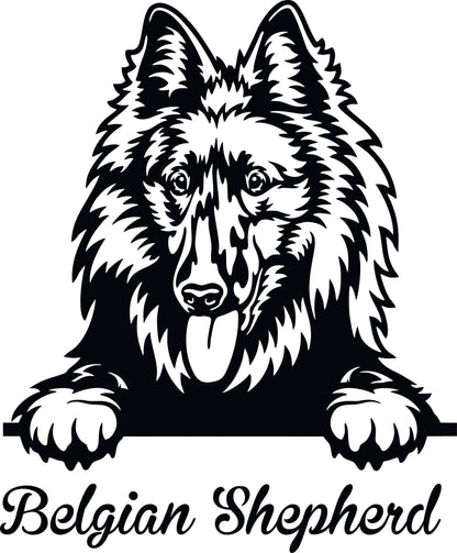 Stickers - Belgian Shepherd