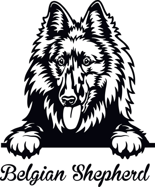 Stickers - Belgian Shepherd