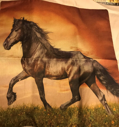 Cushion Covers - Horses - Few designs to choose
