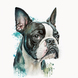 Boston Terrier - Mouse Pad