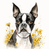 Boston Terrier - Mouse Pad