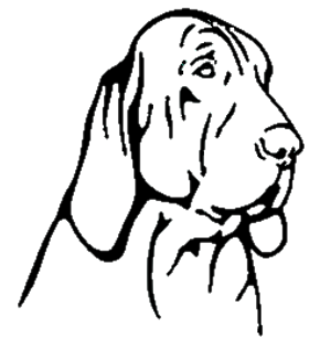 Stickers - Bracco Italiano