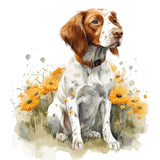 Brittany Spaniel - Mouse Pad
