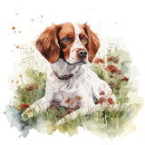 Brittany Spaniel - Mouse Pad
