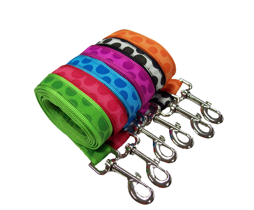 Bubbles Harness and Lead Set