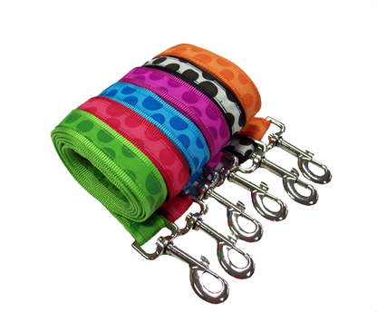 Bubbles Harness and Lead Set