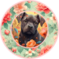 Cane Corso Puppy 1
