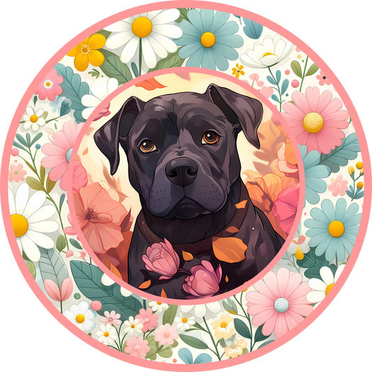 Cane Corso Puppy 3