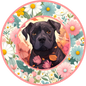 Cane Corso Puppy 3