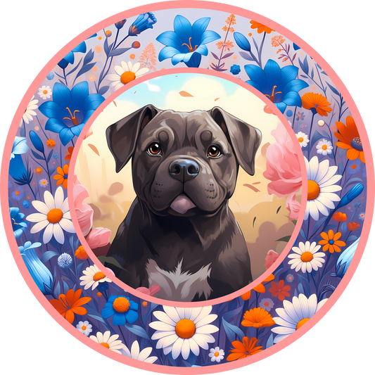 Cane Corso Puppy 4