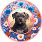 Cane Corso Puppy 4