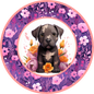 Cane Corso Puppy 5