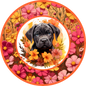 Cane Corso Puppy 6