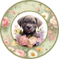 Cane Corso Puppy 8