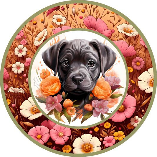 Cane Corso Puppy 9