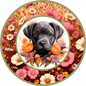 Cane Corso Puppy 9
