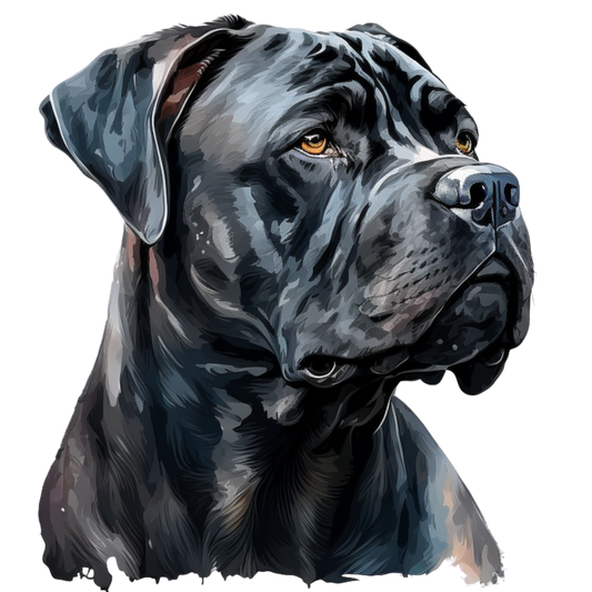 Cane Corso 6
